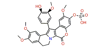 Lamellarin A3 20-sulfate
